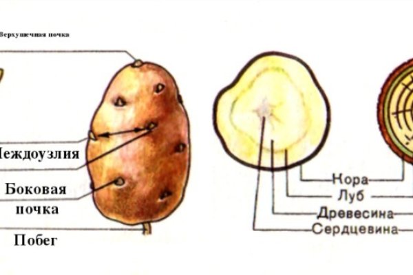 Актуальная информация о кракен маркетплейс