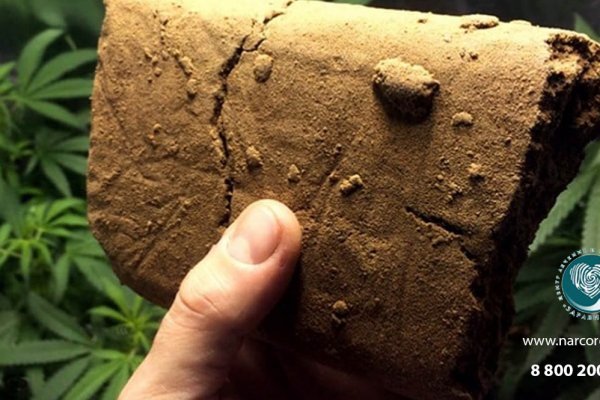 Оптимальные возможности кракен рабочая ссылка