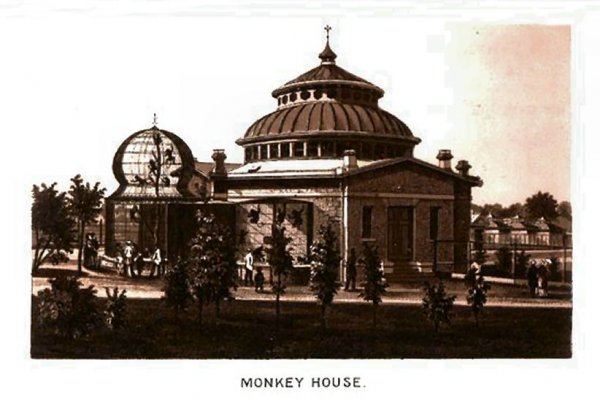 Эффективные решения через krab1.at